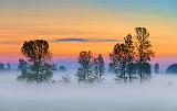 Sunrise Mist_13540-1